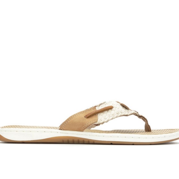 sperry parrotfish flip flop